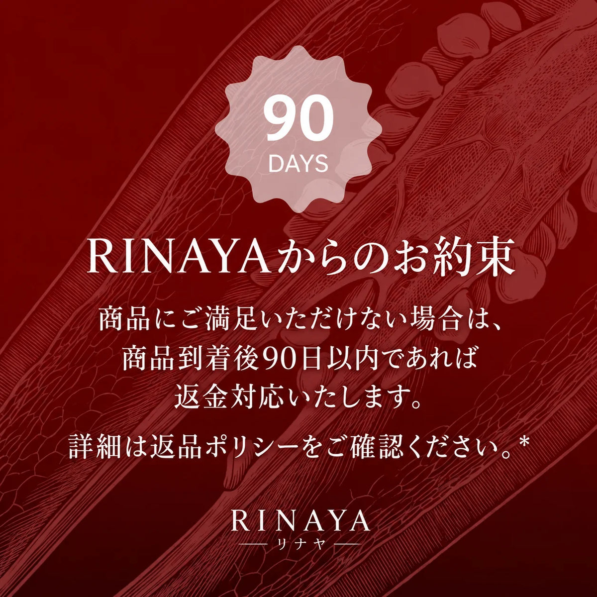 [特別オファー] CayennePepper™｜高濃度カイエンペッパーサプリメント by RINAYA