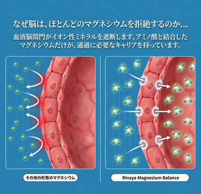 [特別オファー] Magnesium Balance｜高吸収マグネシウムビスグリシネートグミ